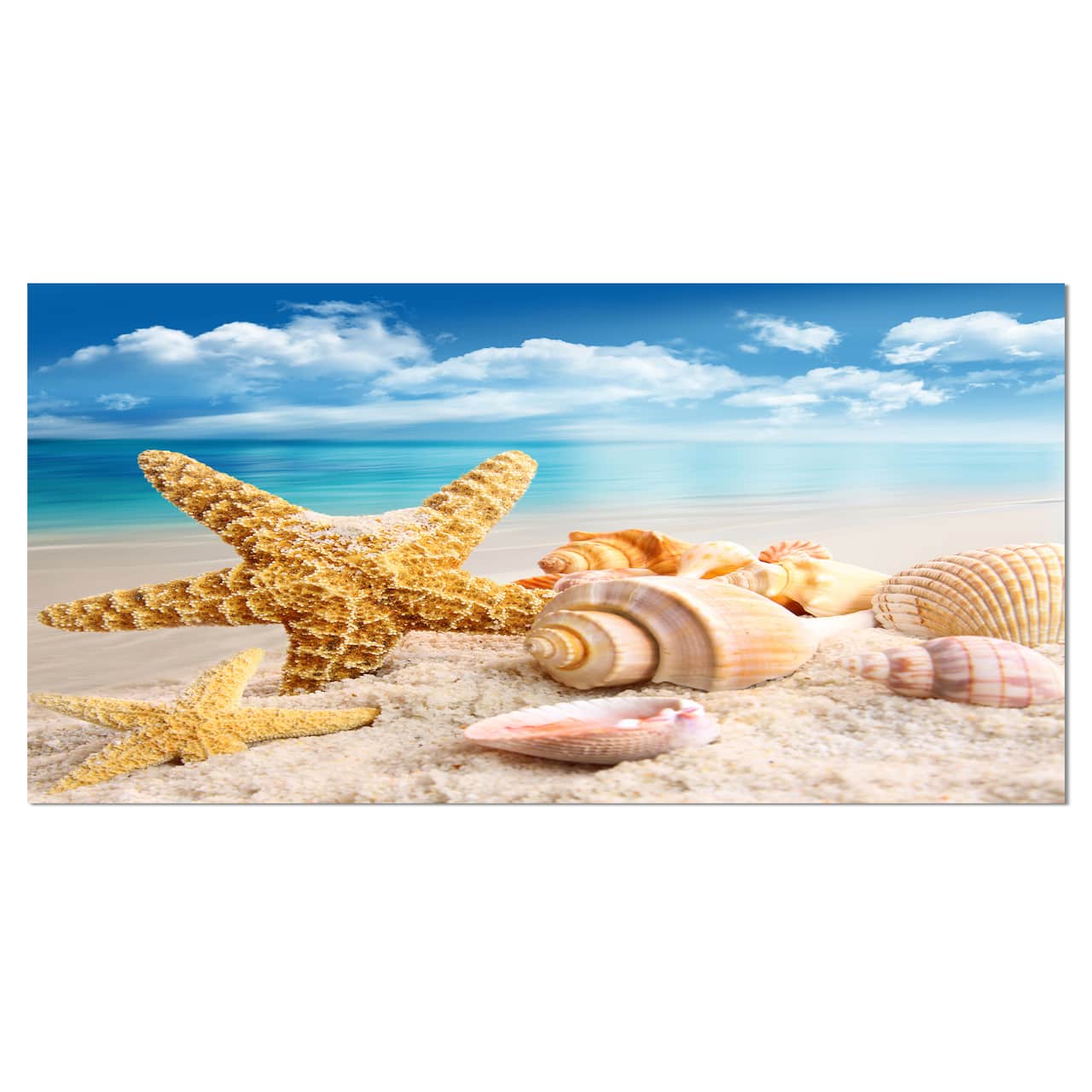 Designart - Starfish and Seashells on Beach - Seashore Photo Canvas Art Print